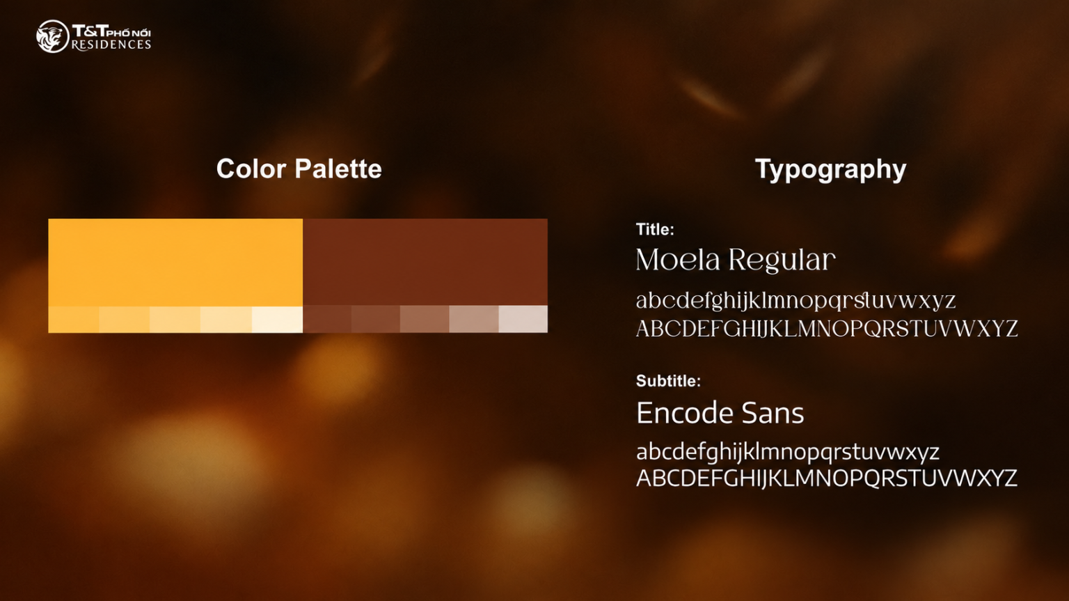 TT Pho Noi Brand Style Guide